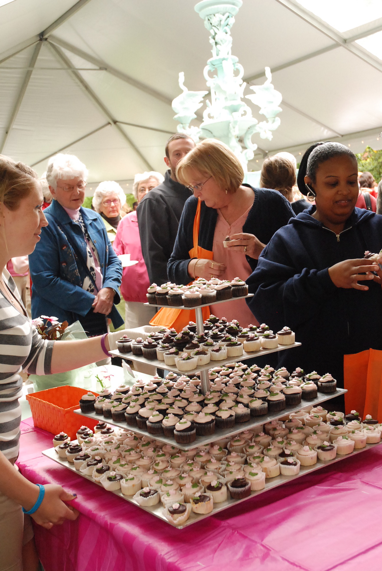 Taste town cupcakes