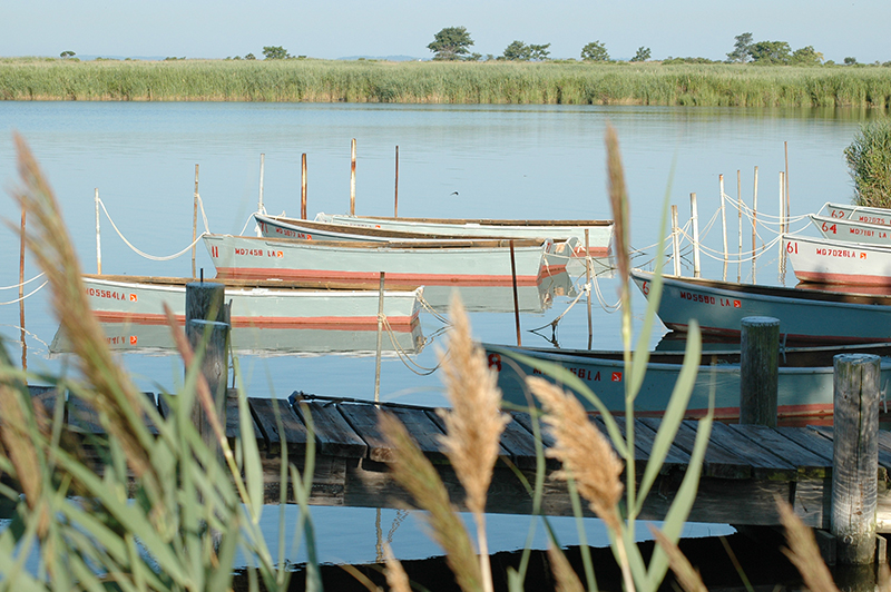 EN crabboats bernadette