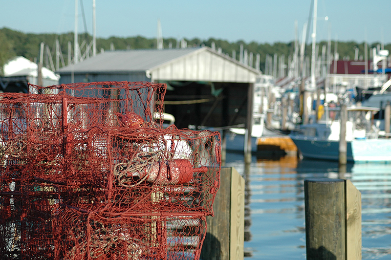 rh pots harbr 06 bernadette