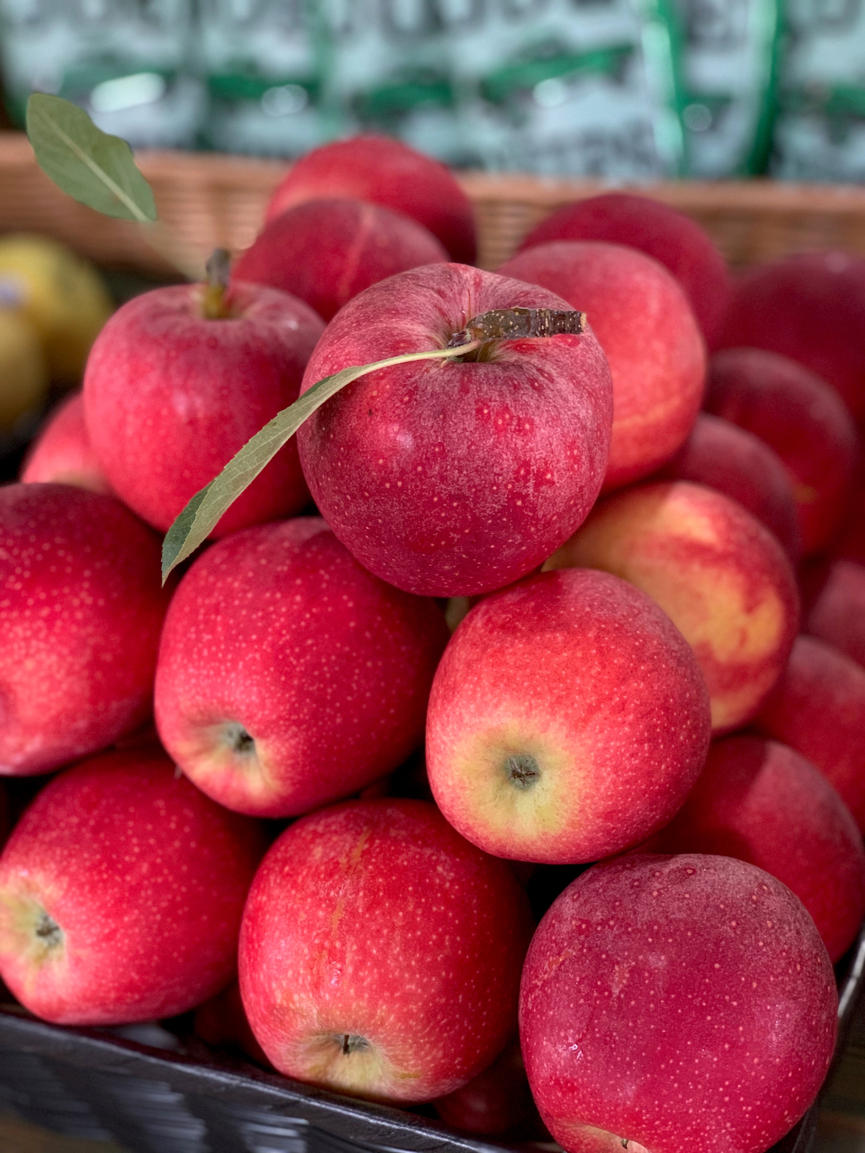 Fresh Start RH apples