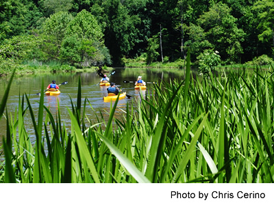 Sultana Paddle May 2012 CREDIT CHRIS CERINO
