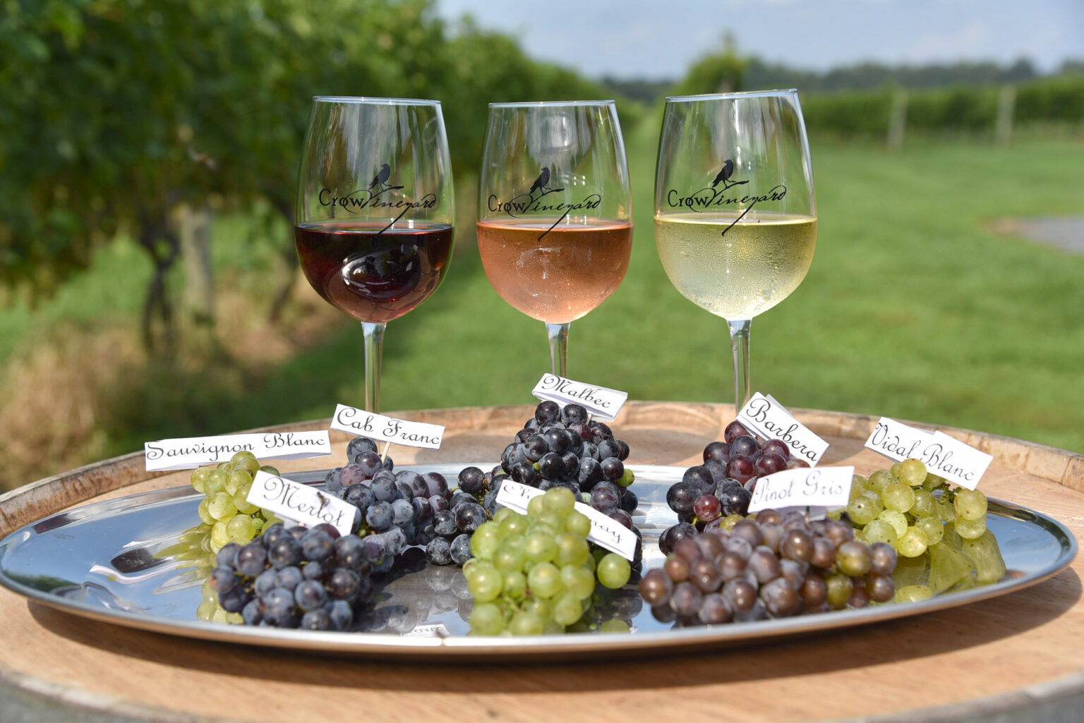 Wine Seminar: Grapes to Glass