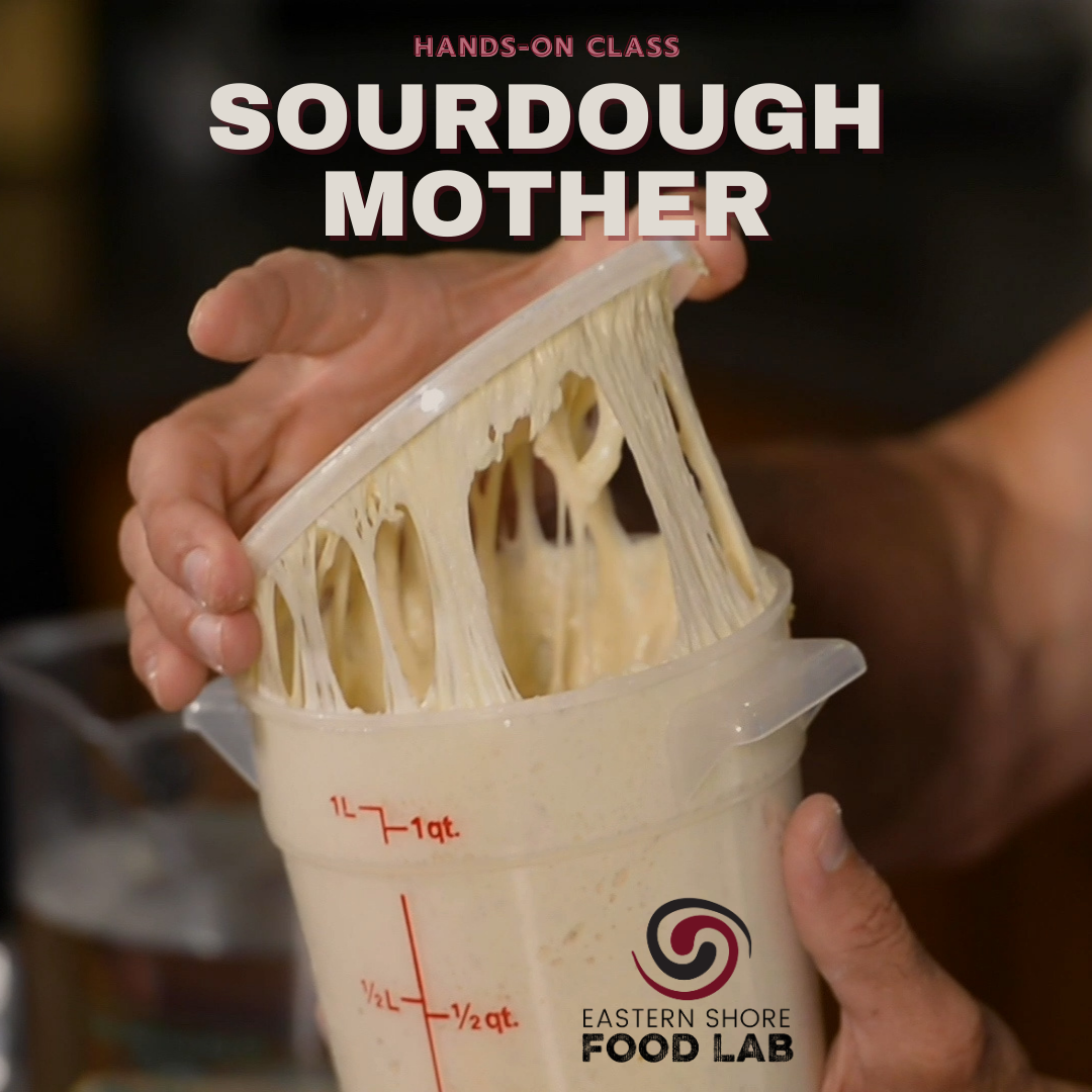 The Art of Sourdough Mother