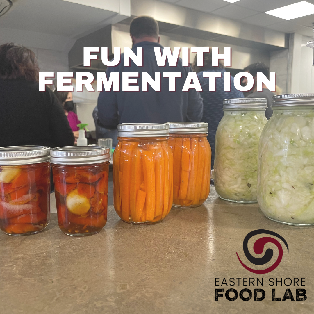 Fun with Fermentation Cooking Class