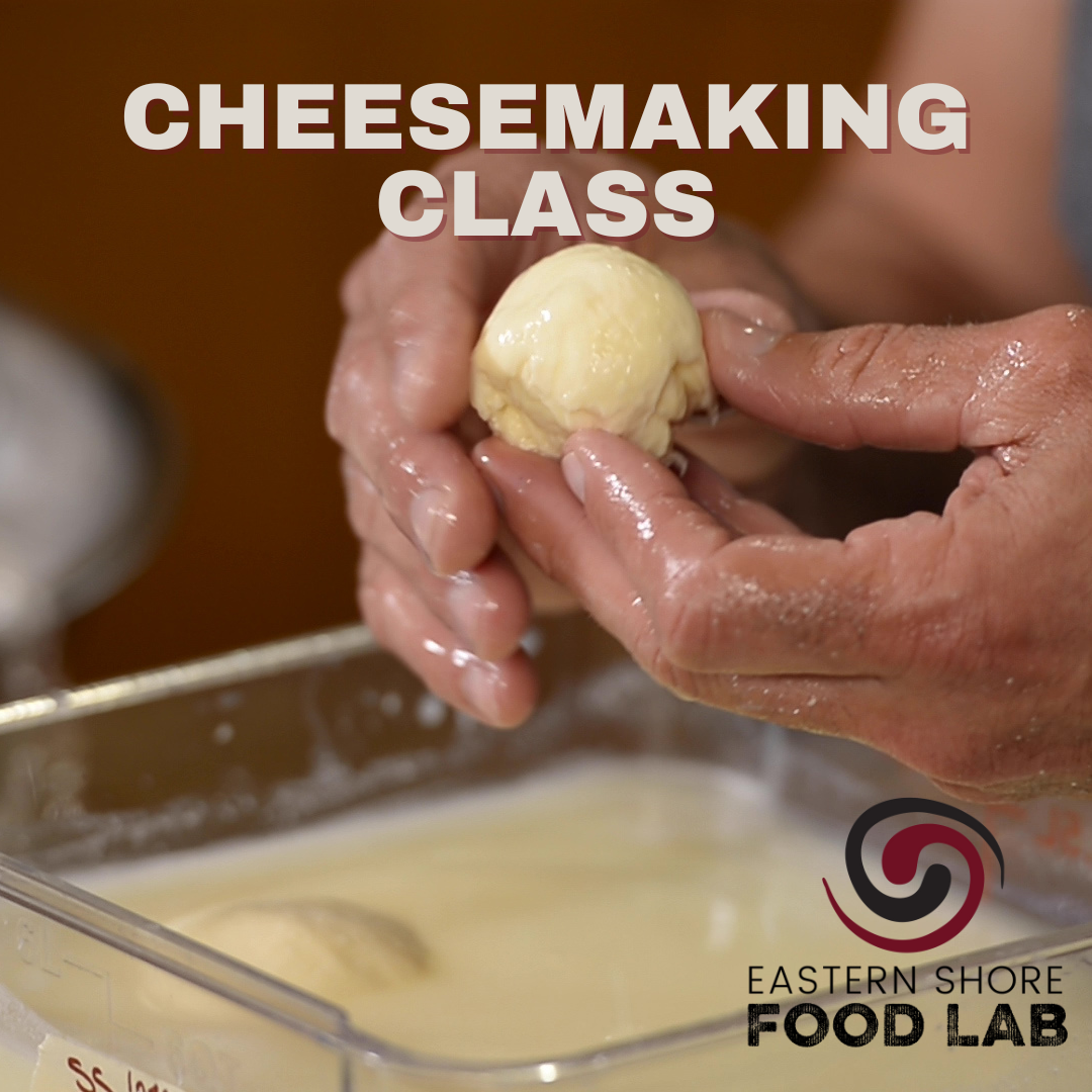 Cheesemaking Class