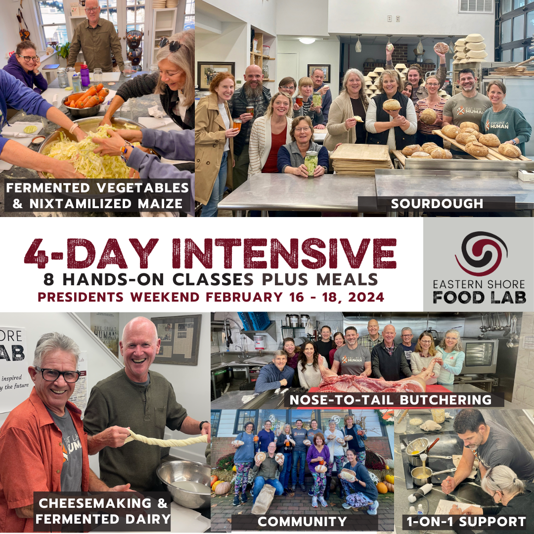 4-day Intensive Cooking Class to Learn to Eat Like a Human