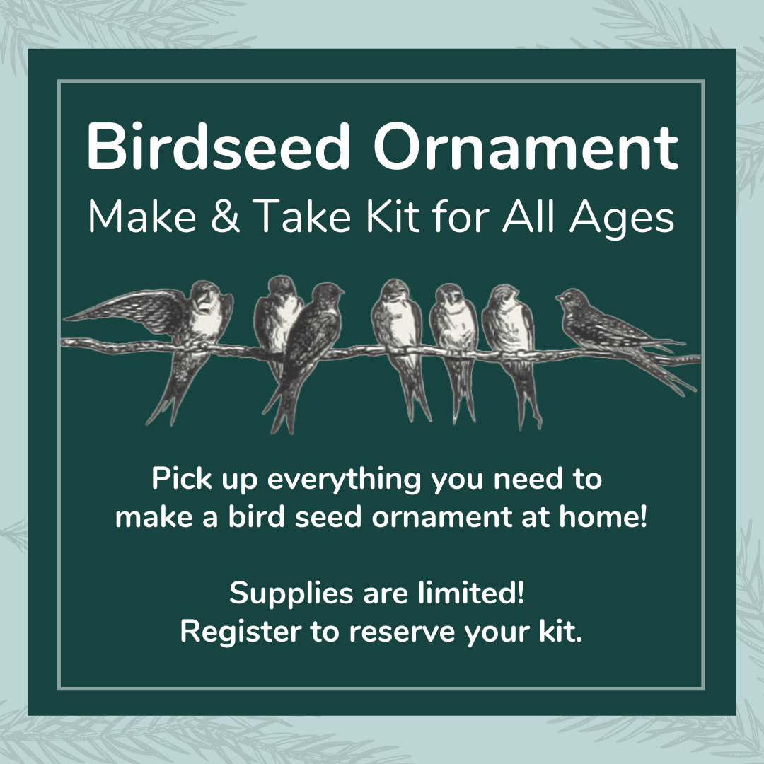 Bird Seed Ornament - Make & Take Kit