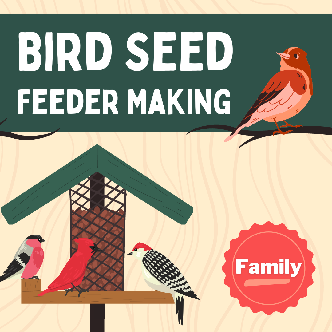 Bird Feeder Making
