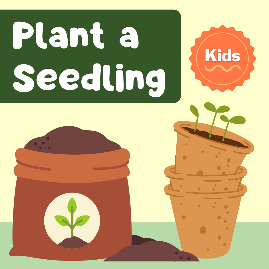 Plant a Seedling with Beth Hill from 4-H!