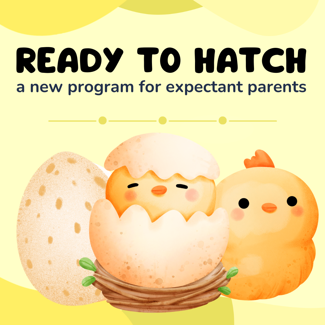 Ready To Hatch: Get Ready for Baby!