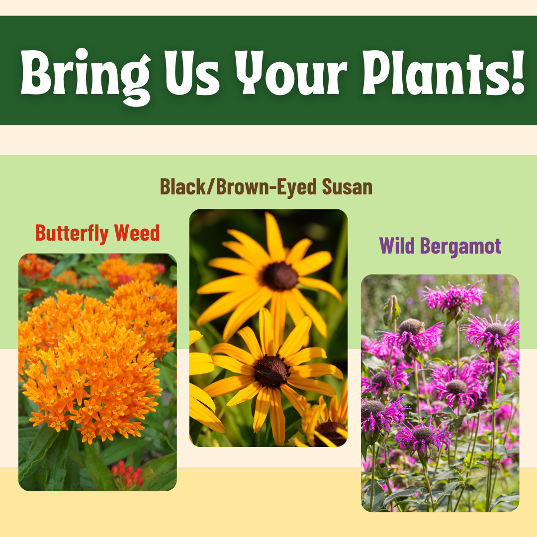 Bring Us Your Plants!