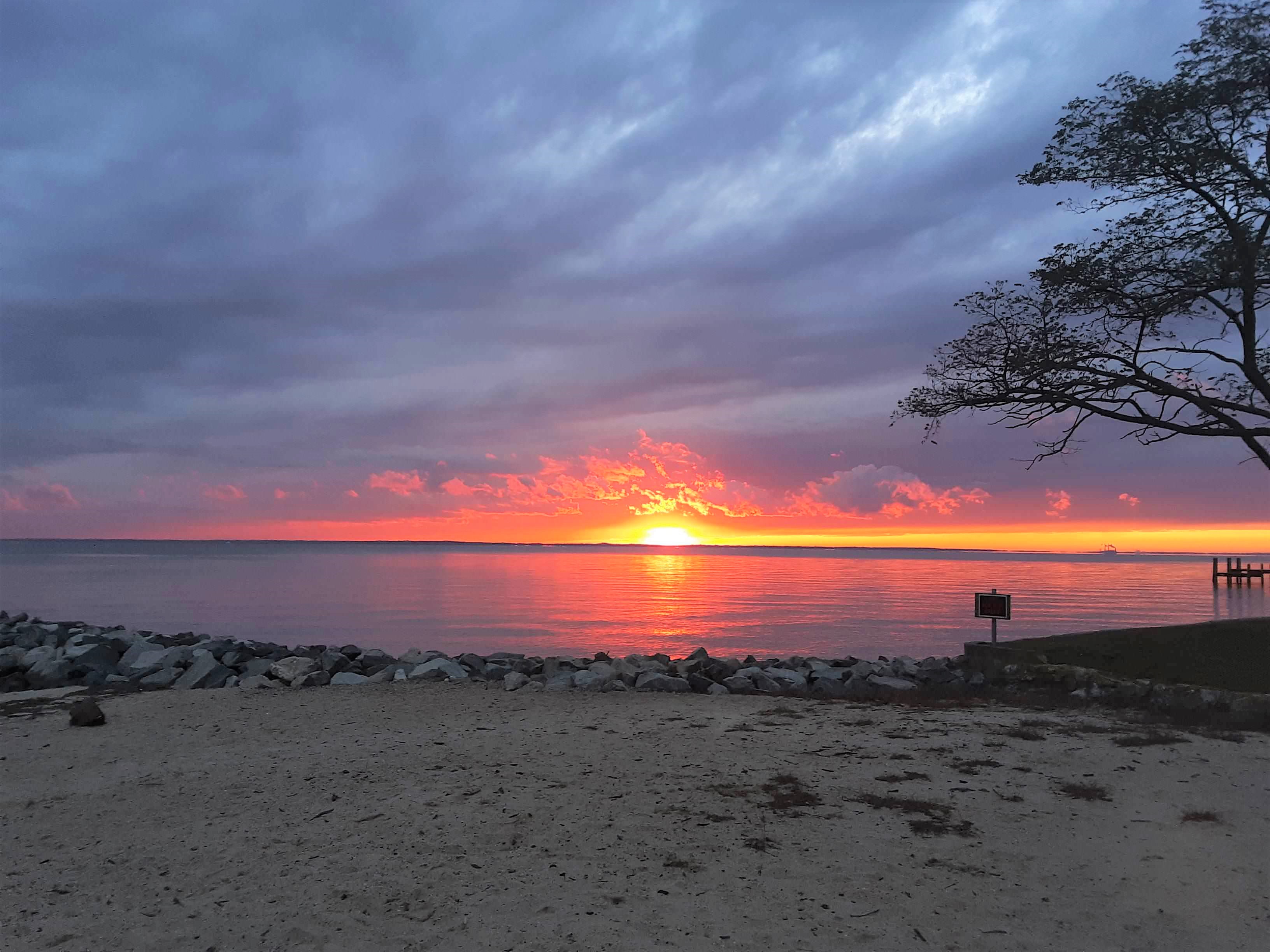 Ferry Park Sunset cred.Jennifer Ellick 2