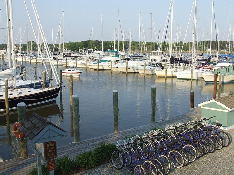 Bikes haven bernadette kent county (1)