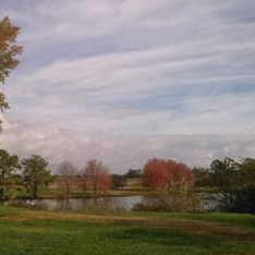 Cypress Branch State Park