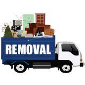 Savage Strong Hauling & Junk Removal