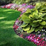 Knolltop Landscape LLC