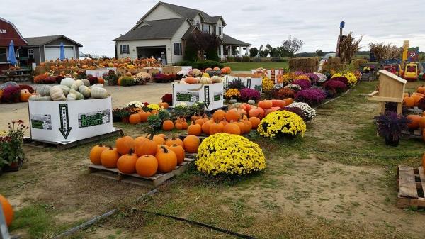 Lockbriar Farms