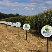 Scheeler Seeds, LLC