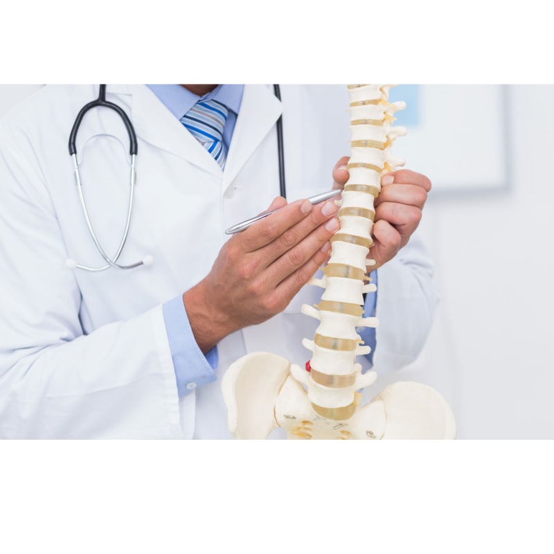 Chiropractor, Thomas E. Schreppler, DC