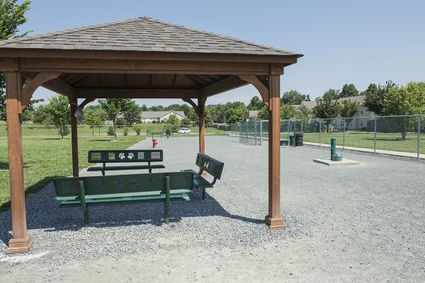 Chestertown Dog Park